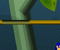 Jungle Dave (Oynama:1556)