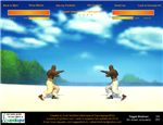 Capoeira Fighter
