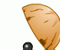 Shell  (Oynama:2561)