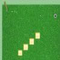 Amazing Golf Pro (Oynama:2601)