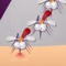 Kill Mosquito (Played:2963)