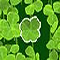 Lucky Clover  (Oynama:2595)