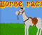 Horse Racin  (Oynama:2671)