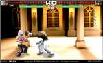 Final Knockout (Oynama:1611)