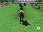Horse Race (Oynama:3020)