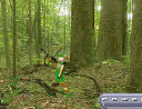 Animal Hunter (Oynama:2683)