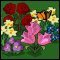 Bloomin' Gardens (Oynama:2694)