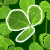 Lucky Clover (Played:2605)