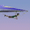 Canyon Glider (Oynama:2414)