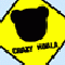 Crazy Koala (Oynama:2653)