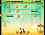Panda Fruit Bounce (Oynama:1715)