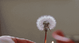 fire in hole Picture (hit:110)